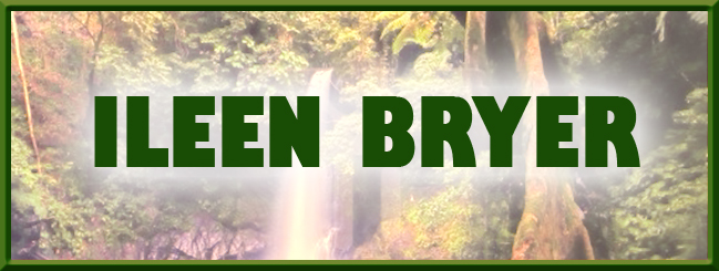author page banner Ileen Bryer